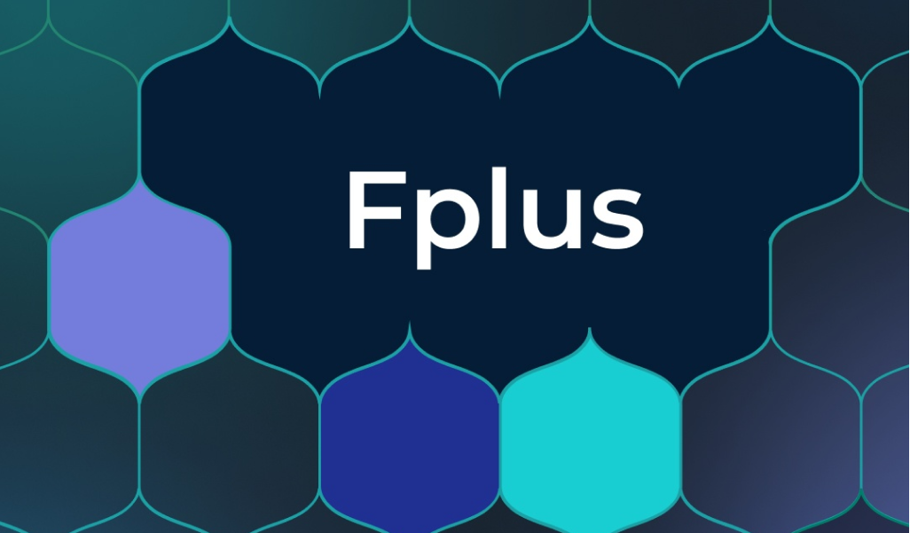 Проект Холдинга Fplus