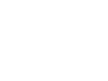 логотип Sapiens solutions